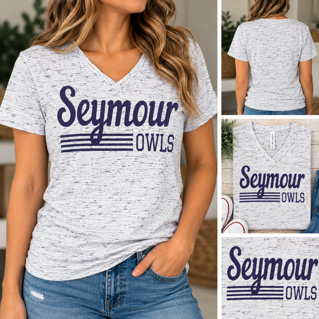 Seymour Owls Bella+Canvas V-Neck Tee – Adult Small